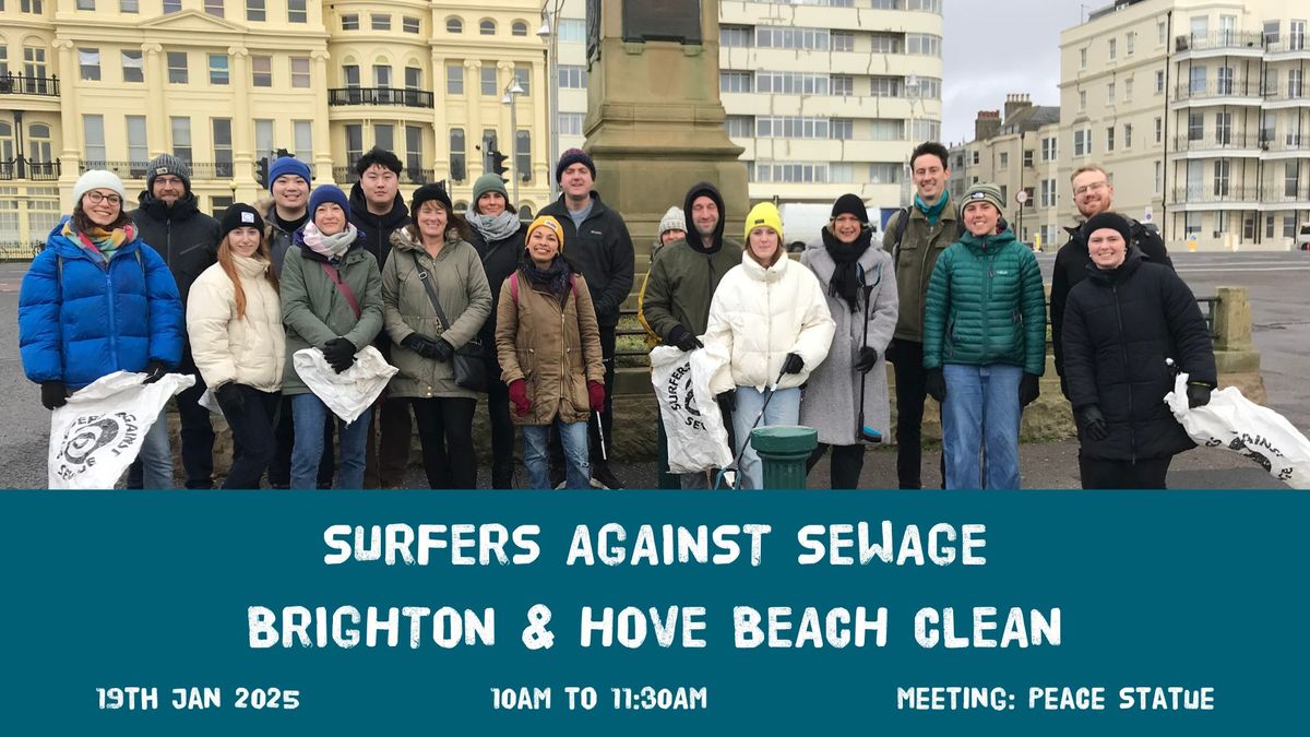 SAS Million Mile Brighton and Hove beach clean