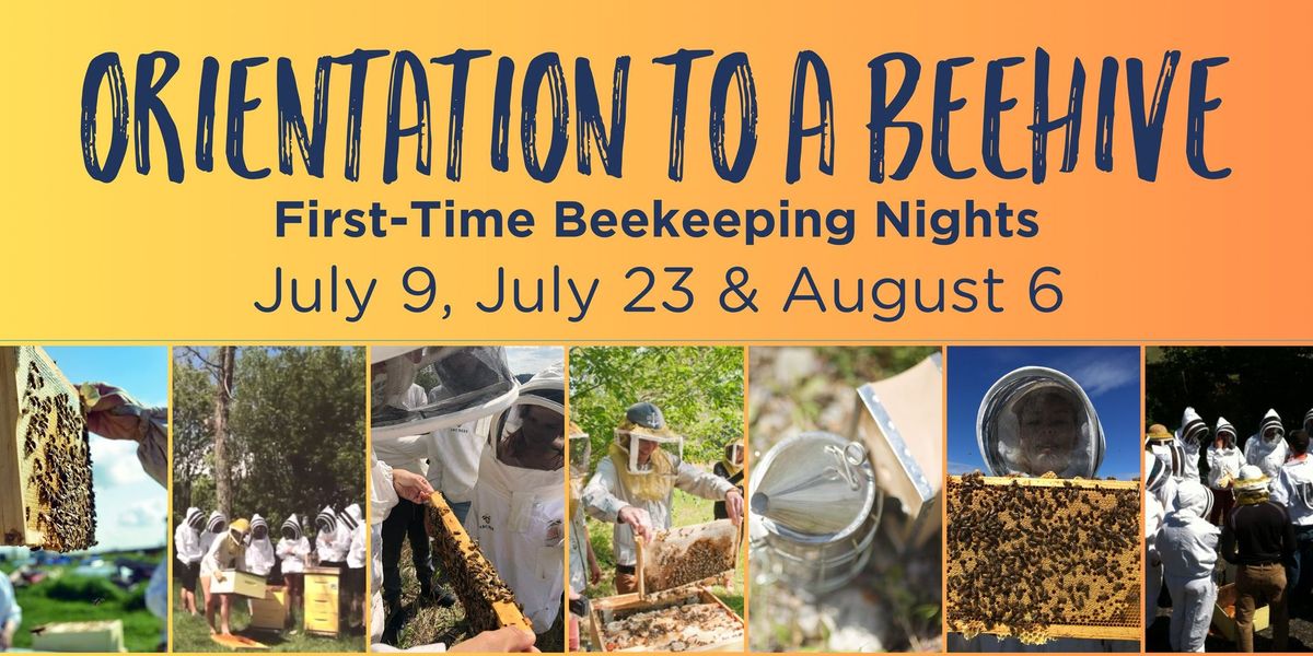 Orientation to Hobby Beekeeping Field Days