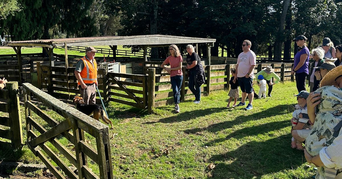 Open Farms: Guided Walk