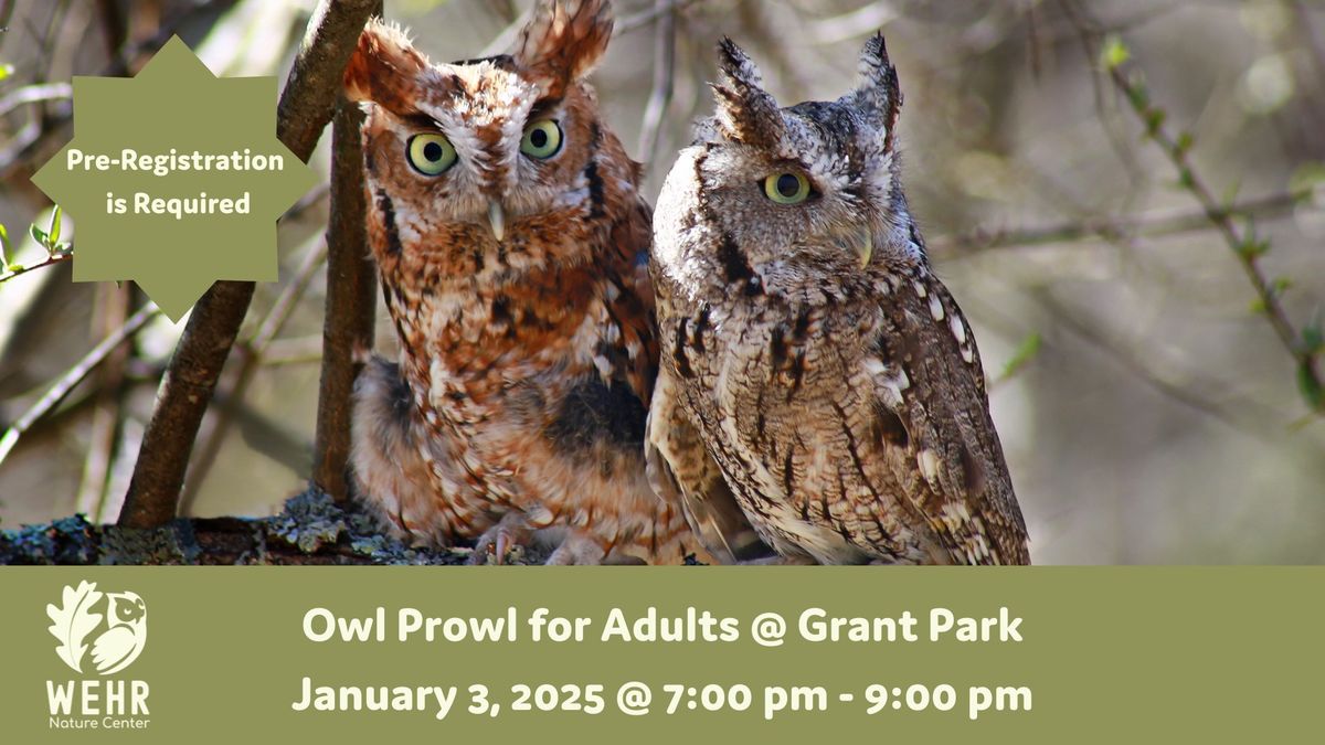 Owl Prowl for Adults @ Grant Park