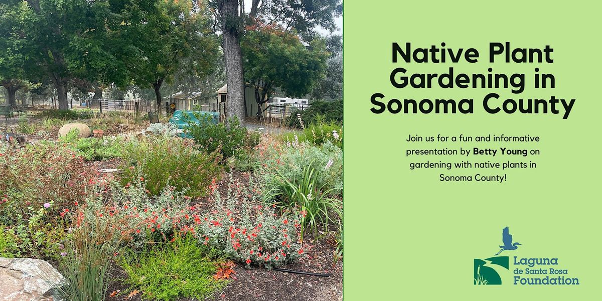 Native Plant Gardening in Sonoma County Presentation by Betty Young