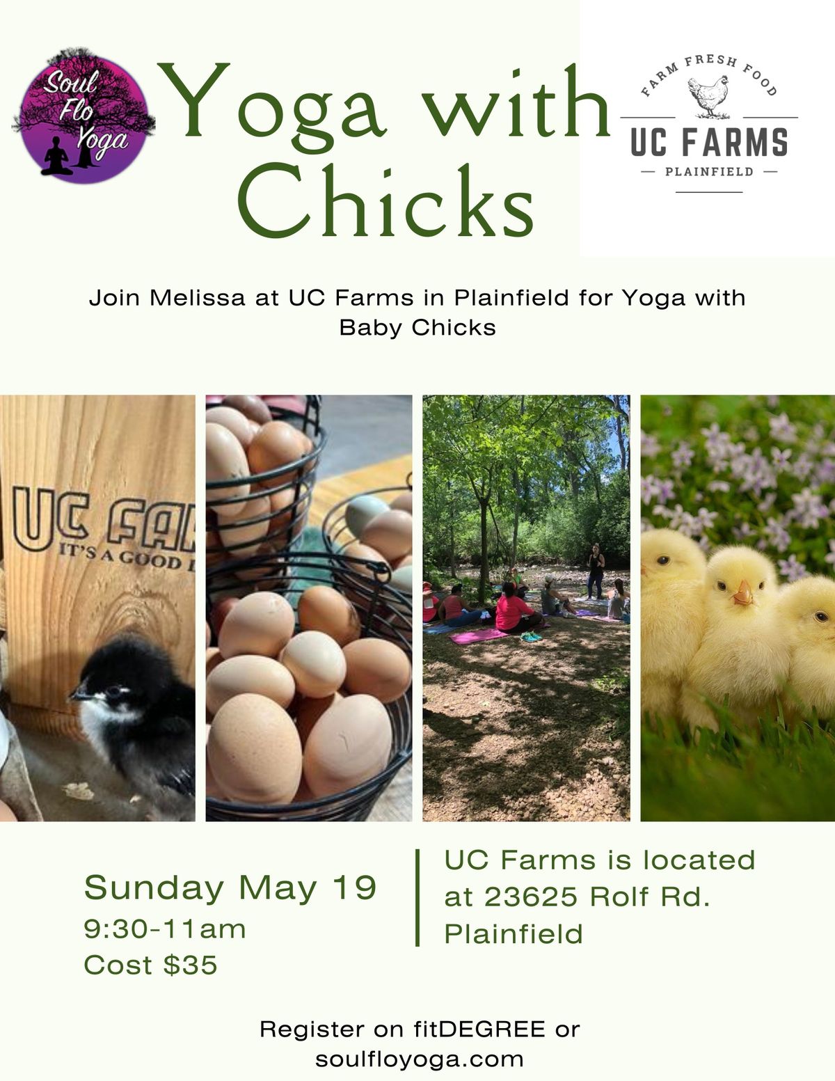 Yoga with Baby Chicks at UC Farms