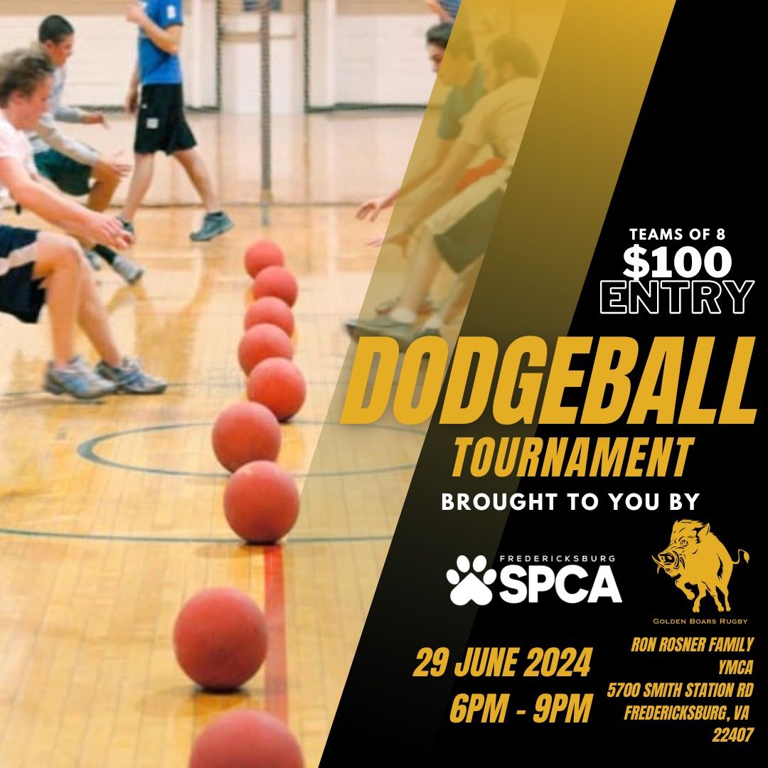 Golden Boars & Fredericksburg SPCA Dodgeball Tournament