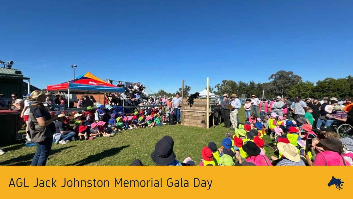 AGL Jack Johnston Memorial Gala Day