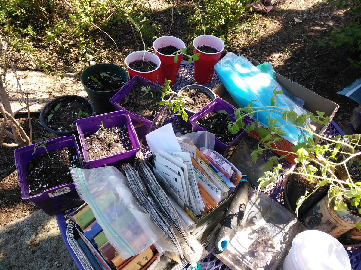 Spring Seed Share & Mutual Aid Event