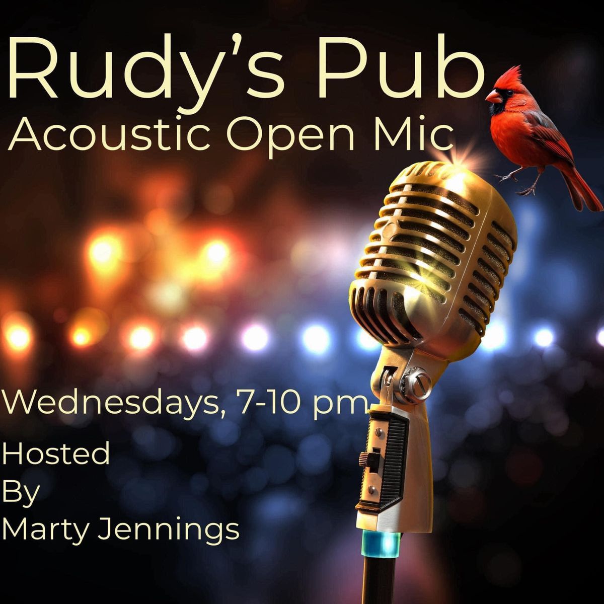 RUDYS PUB ACOUSTIC OPEN MIC