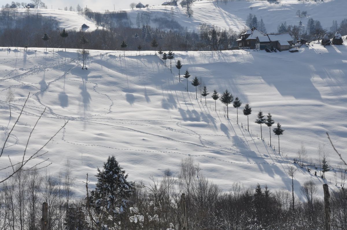 Romanian Authentic Mountain Villages