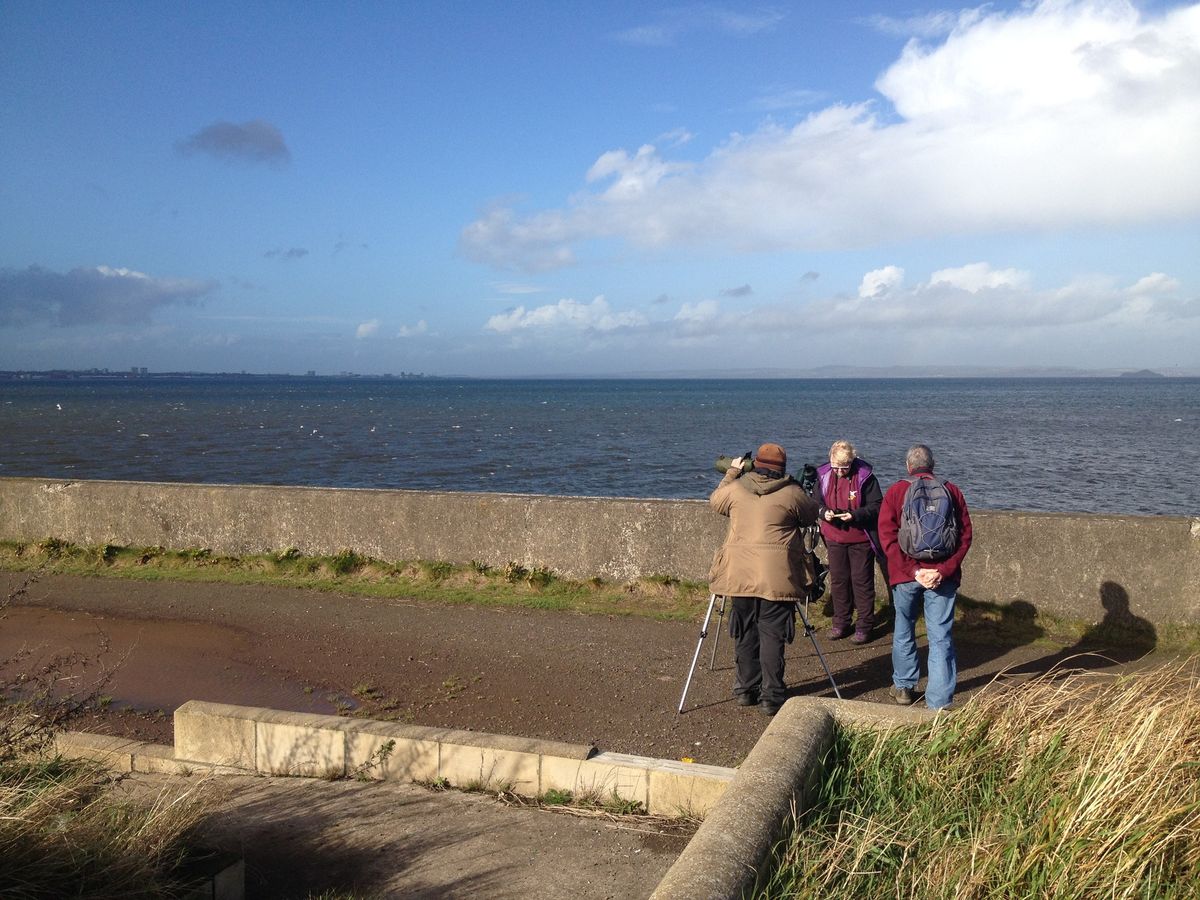 Field Trip: Musselburgh & Aberlady