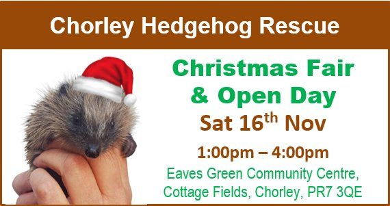 Chorley Hedgehog Rescue Christmas Fair