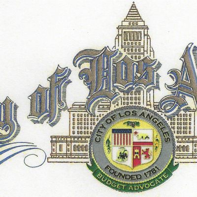 Los Angeles Neighborhood Council Budget Advocates