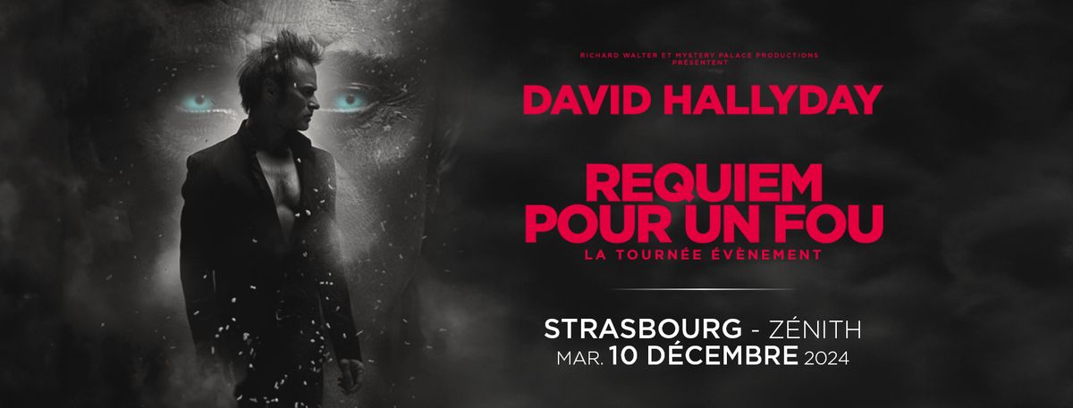 David Hallyday \u2022 Z\u00e9nith, Strasbourg \u2022 10\/12\/24