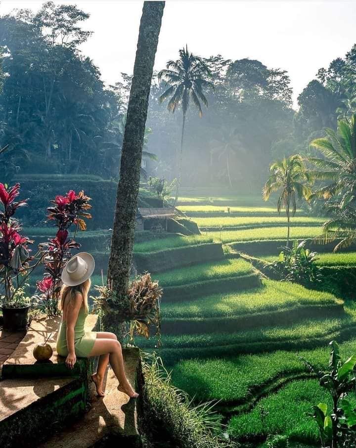 Cheapest Bali 4 Days with Air Tickets, Hotel, Meals, Tours, and Transfer