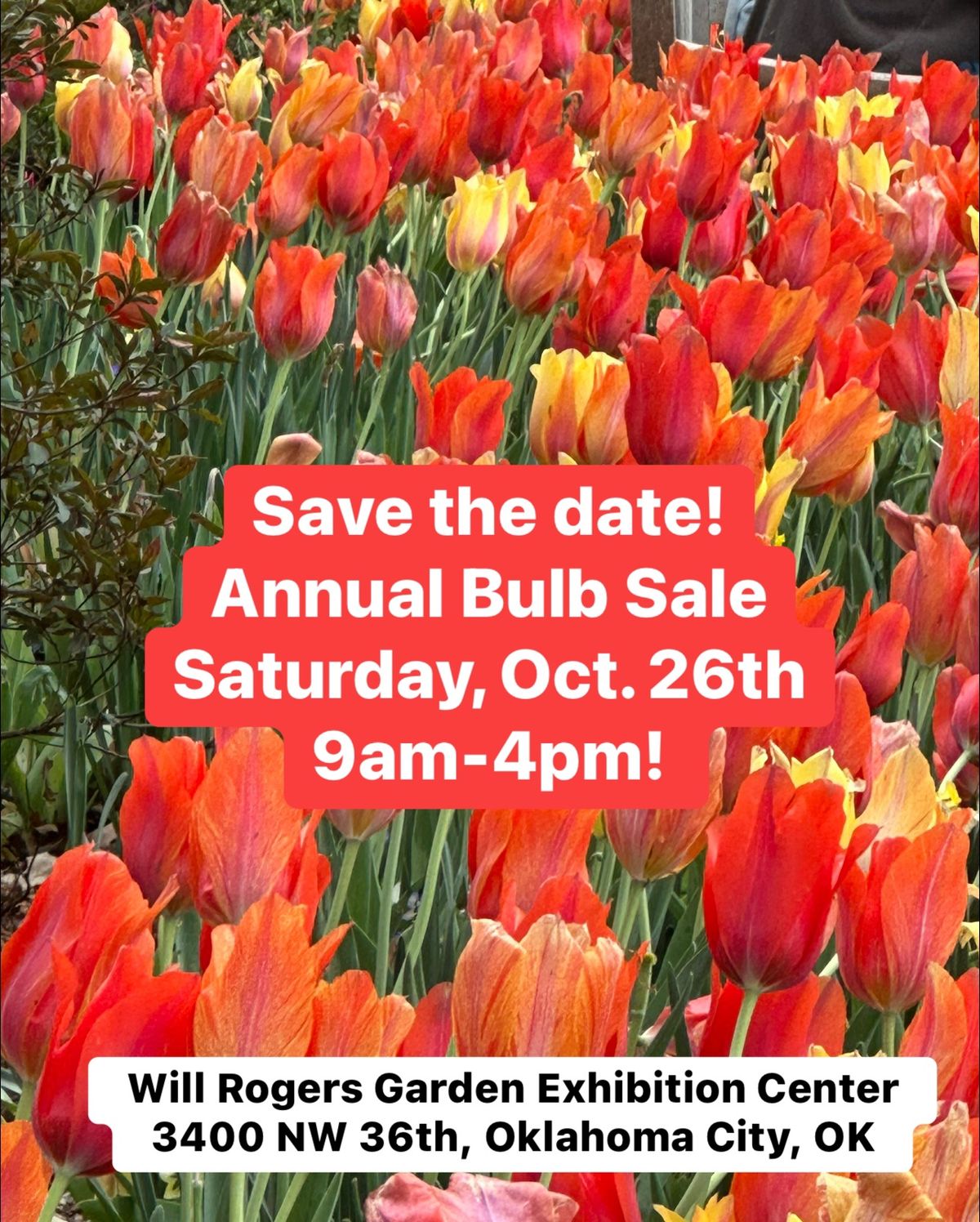 Annual Bulb Sale!!!