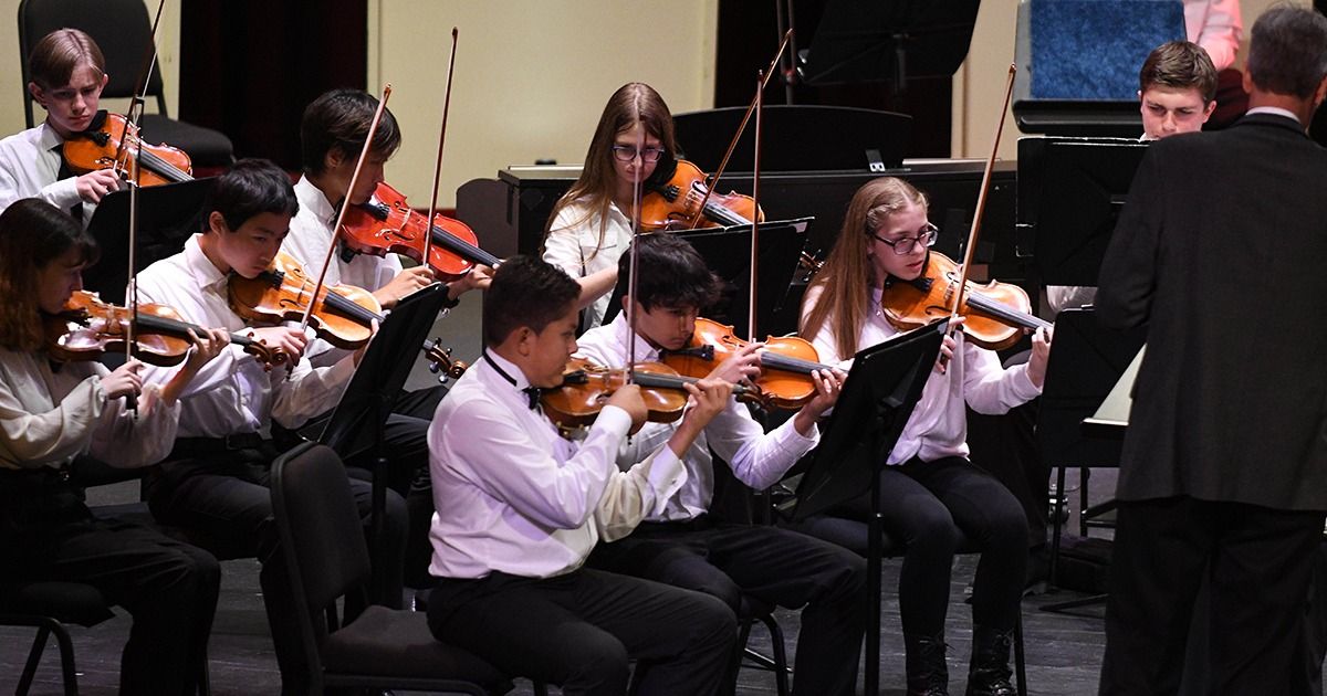 Salisbury Youth Orchestra