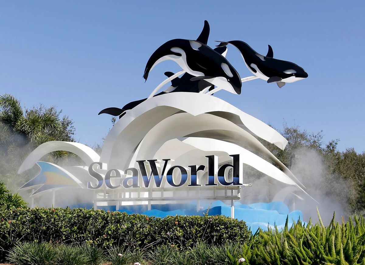 \ud83c\udf0a A Day at SeaWorld Orlando \ud83c\udf0a Weekend Getaway ONLY $99 Per Couple