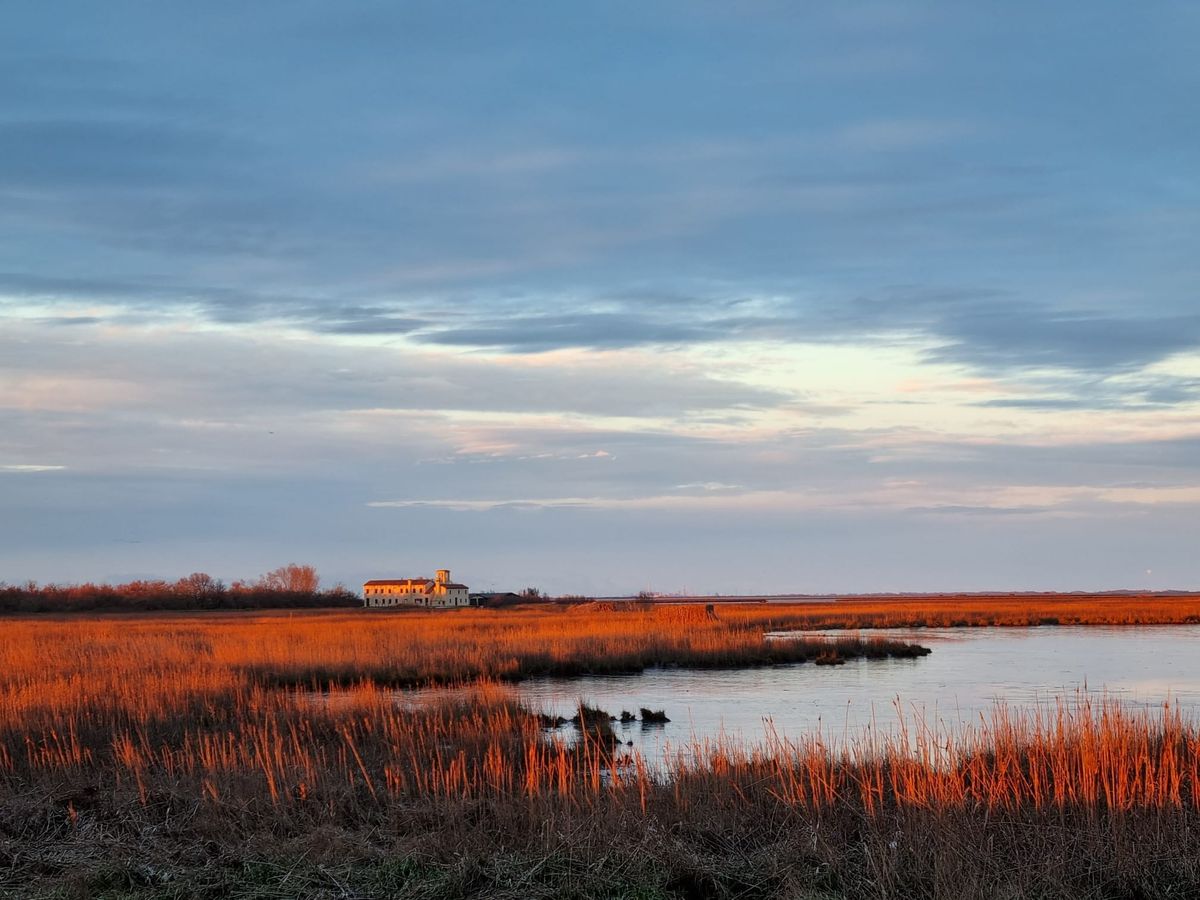 LA VALLE MILLECAMPI nella LAGUNA di VENEZIA