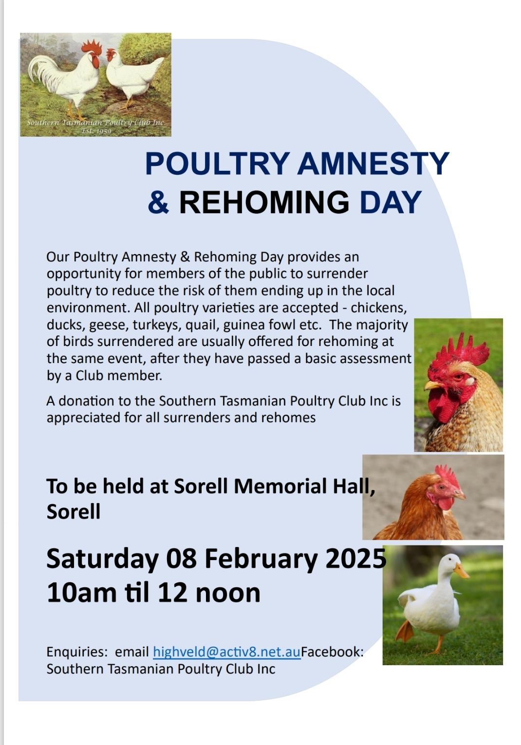 Poultry Amnesty and Rehoming Day