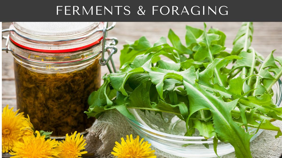 Ferments & Foraging