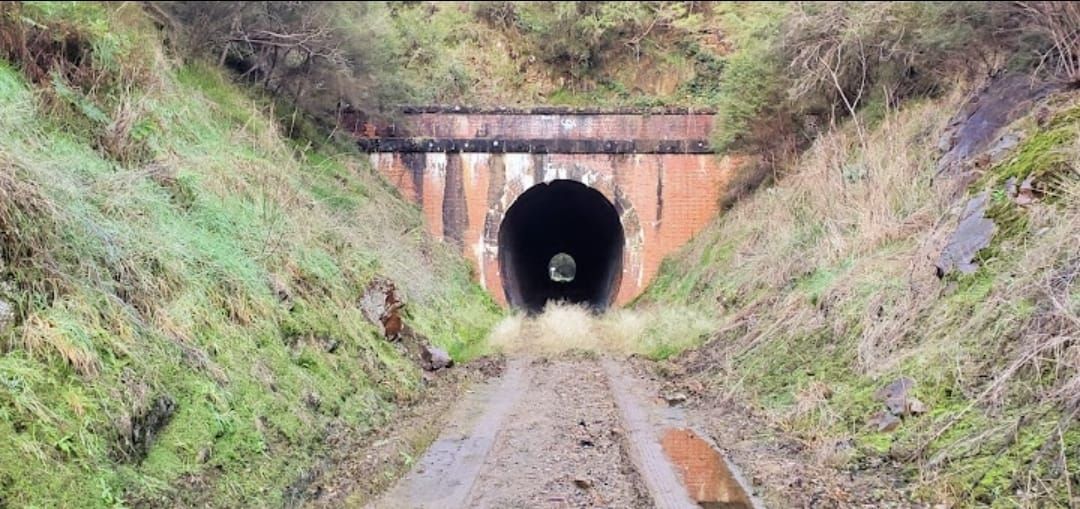 Historic Tarrawarra Tunnel