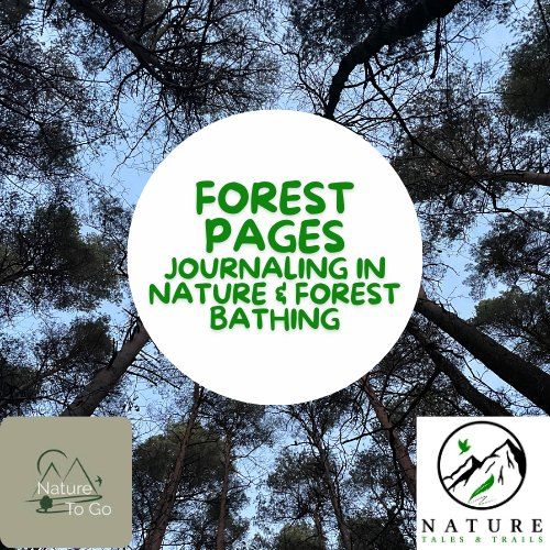 Forest Pages - journaling & forest bathing experience