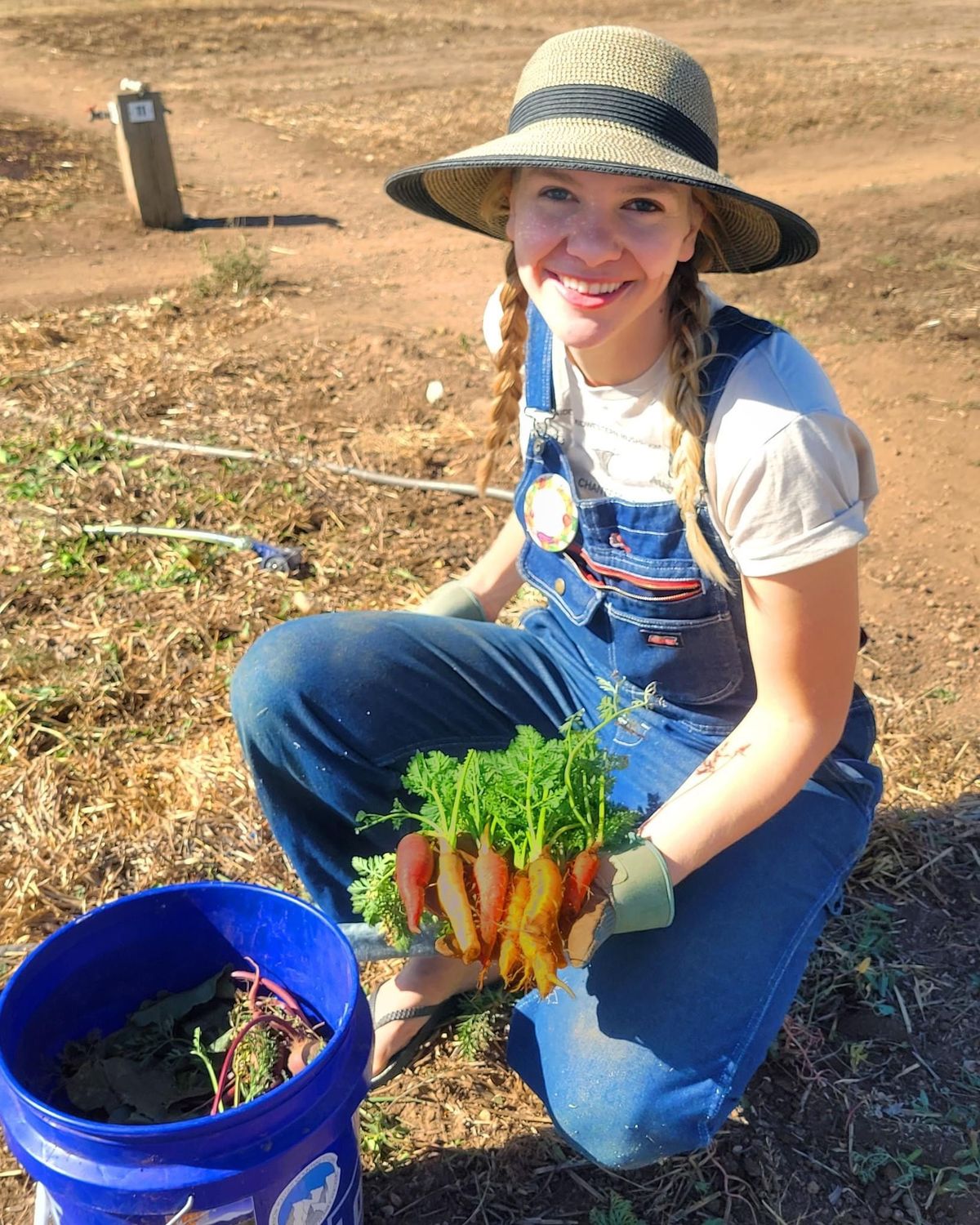 Organic Vegetable Gardening- Tips for Success