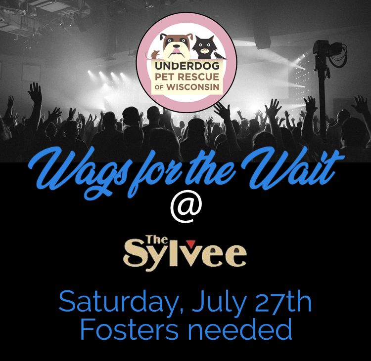 Wags for the Wait: At the Sylvee