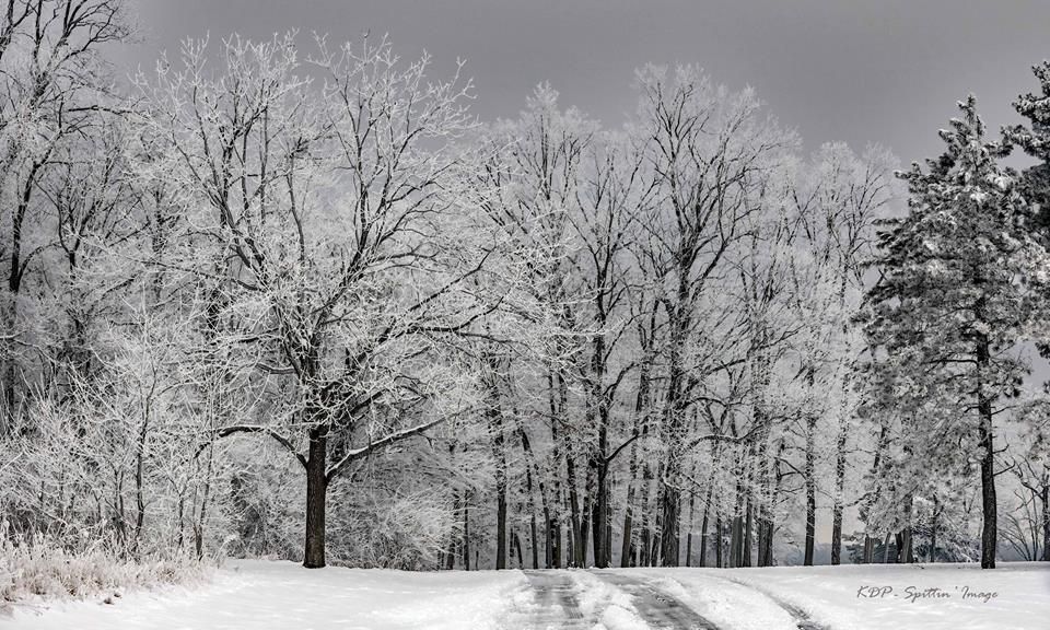 6th Annual Winter Hike