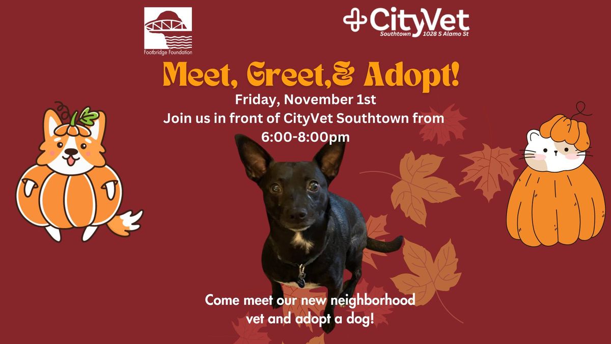 First Friday with CityVet Southtown