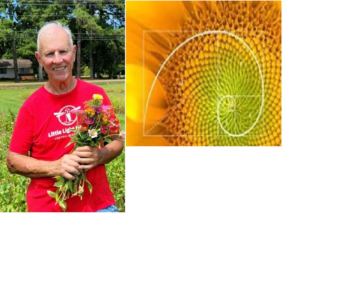 John Malanchak Presents: Flower Design using the Fibonacci sequence