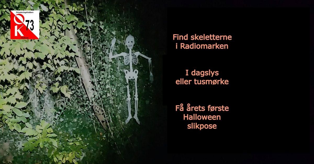 \ud83c\udf83 Find skeletterne i Radiomarken - En sjov familieoplevelse \ud83c\udf83