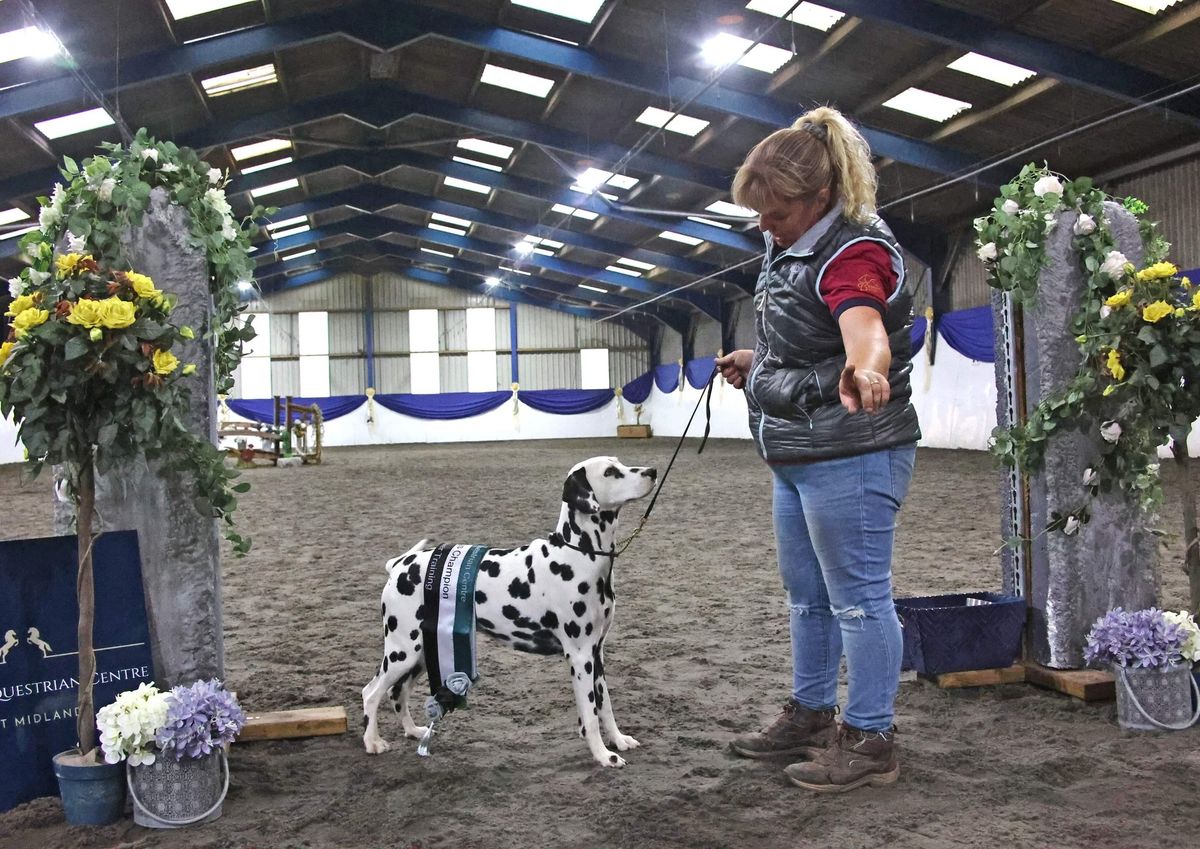 Paws & Applause - Charity Dog Show