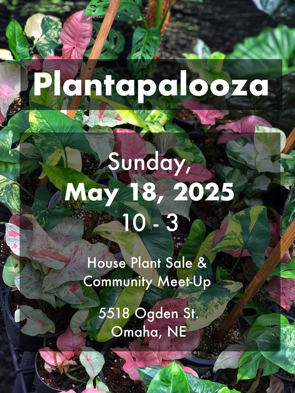 Plantapalooza