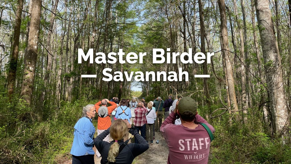 *NEW* Master Birder \u2014 Savannah