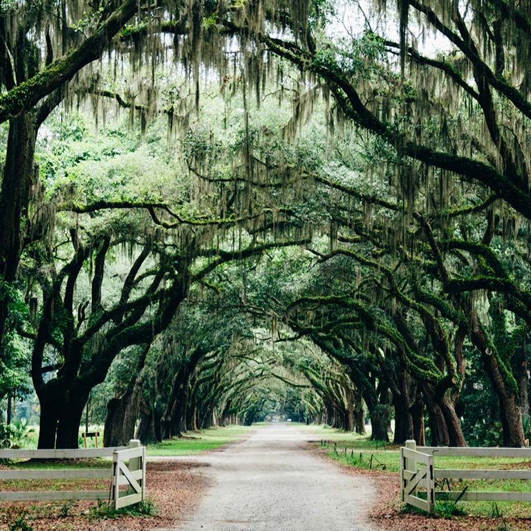 Ghosts of New Orleans: Night Walk