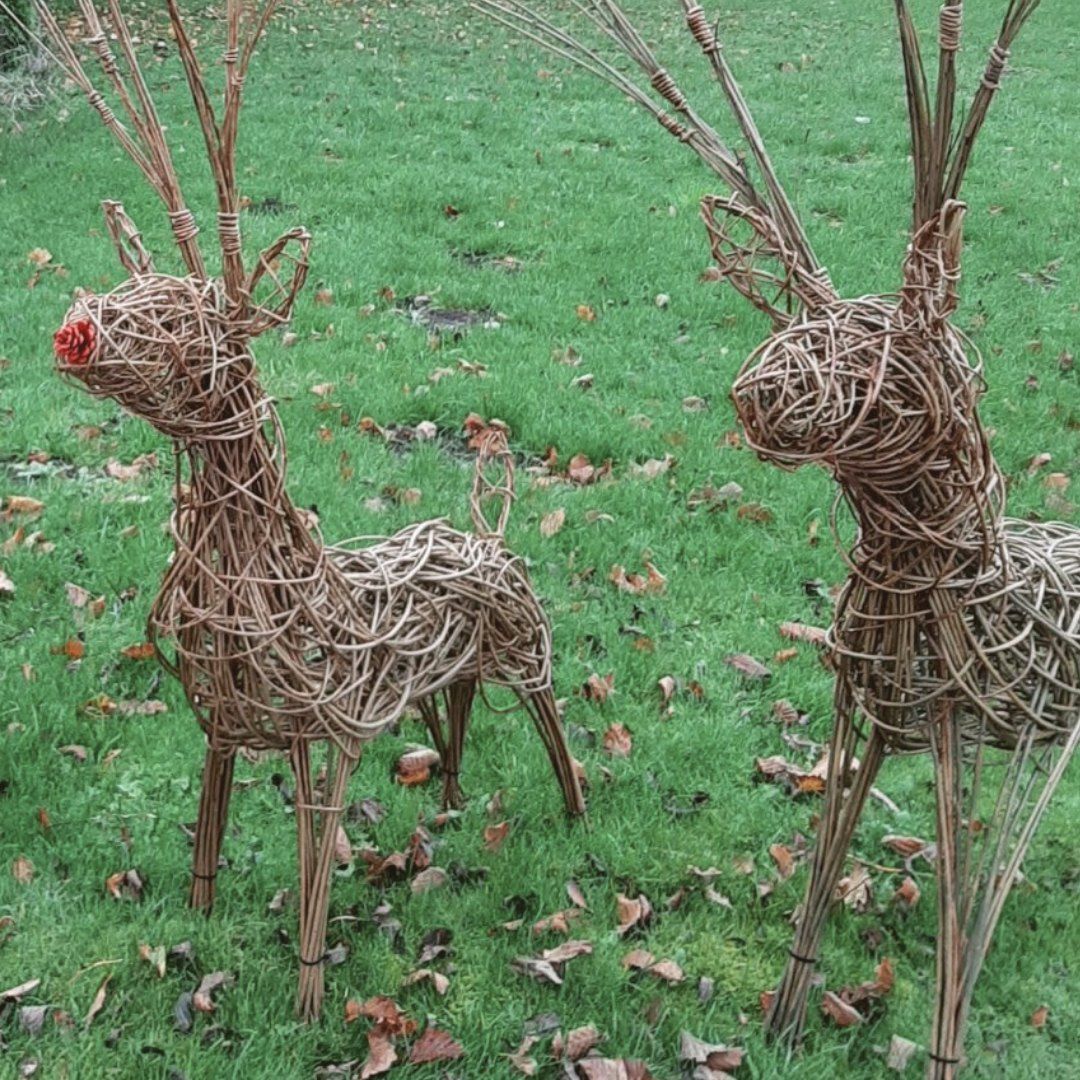 Festive Reindeer in Willow