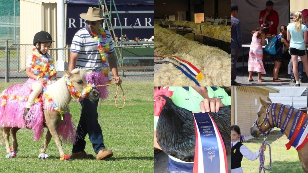 Holbrook Ag Show