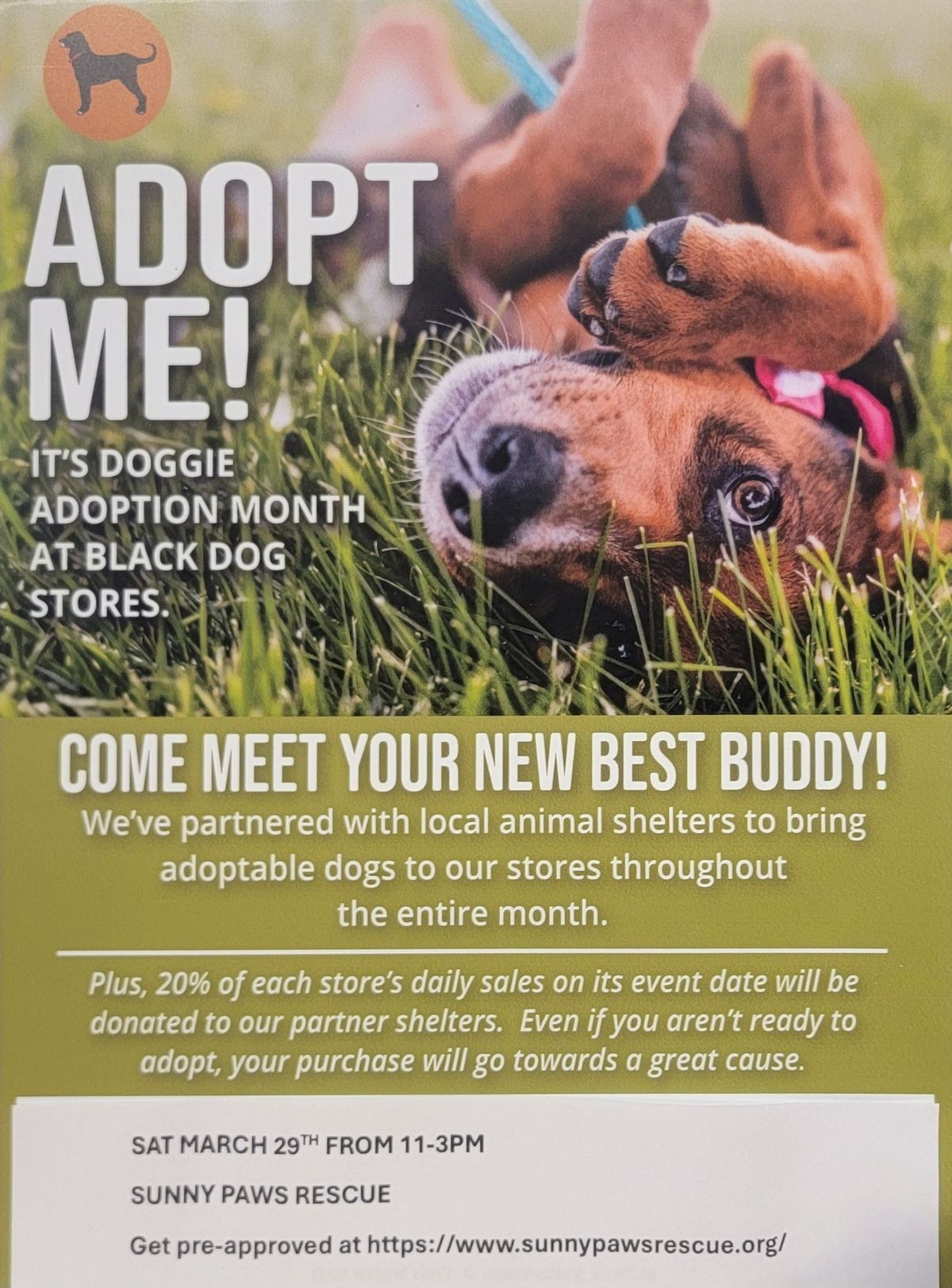 Doggie Adoption