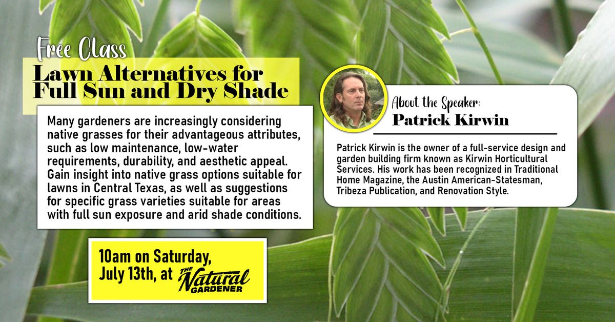 Free Class: Lawn Alternatives for Full Sun and Dry Shade - Presented by Patrick Kirwin