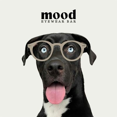 Mood Eyewear Bar