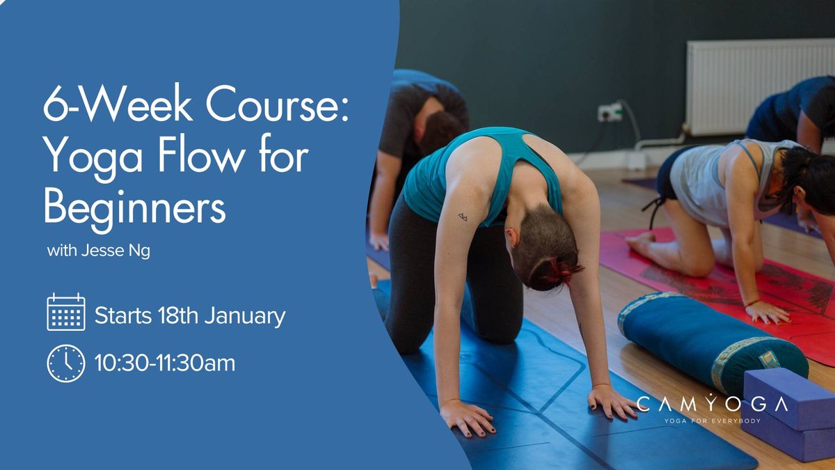 6 Week Course: Yoga Flow for Beginners with Jesse Ng