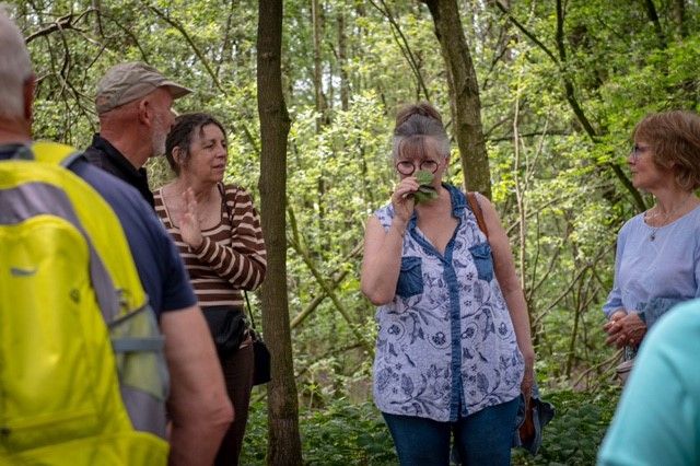 Themawandeling "Wandelen door de apotheek van de goden"