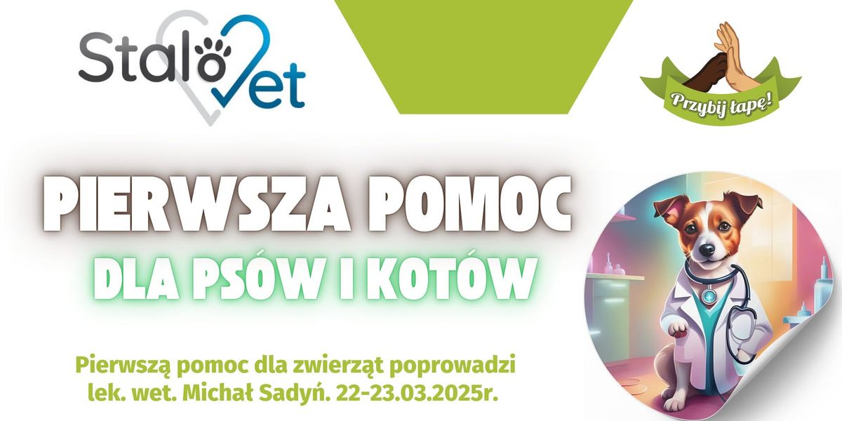 Pierwsza pomoc dla psa