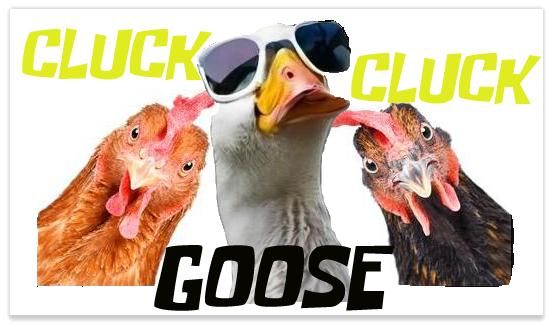 Buff Music Fridays - Cluck Cluck Goose 