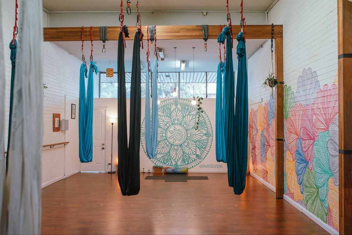 Restorative Aerial Yoga and Sound Healing - Charity Event for The Animal Welfare League