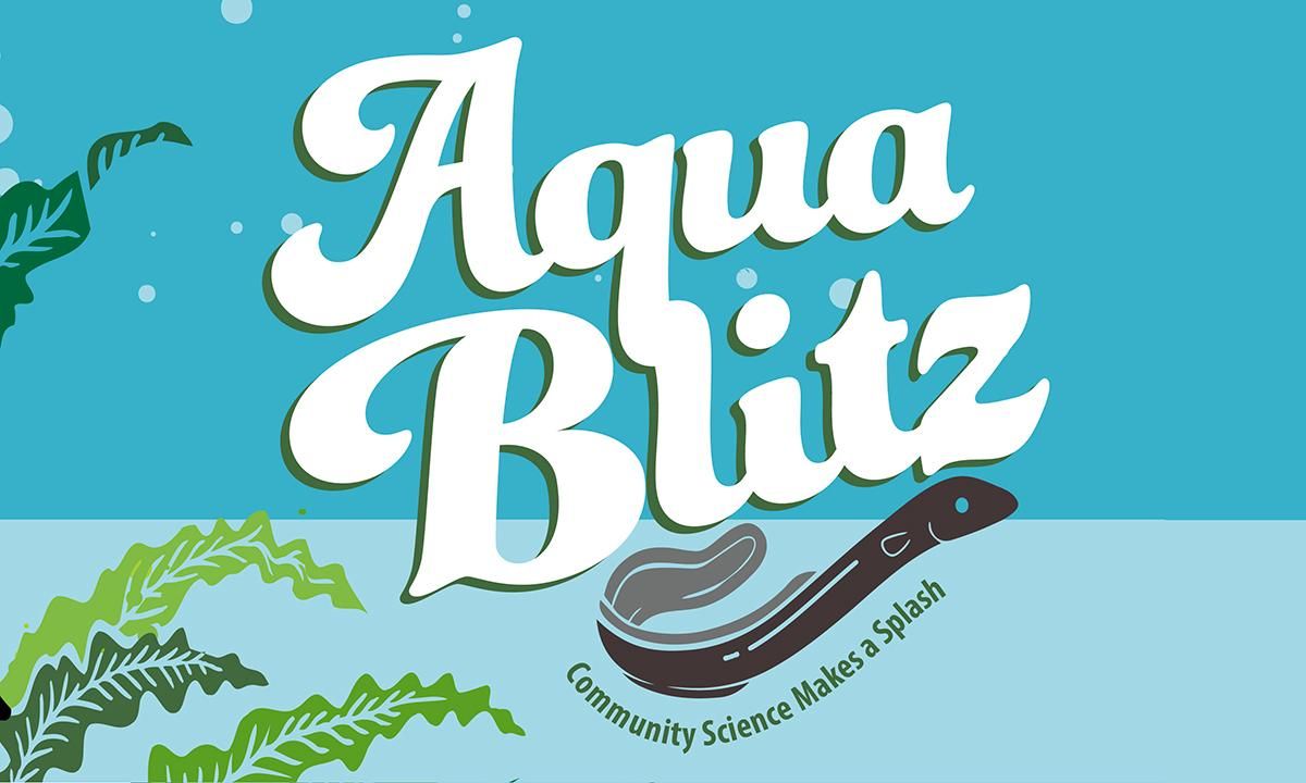 AquaBlitz