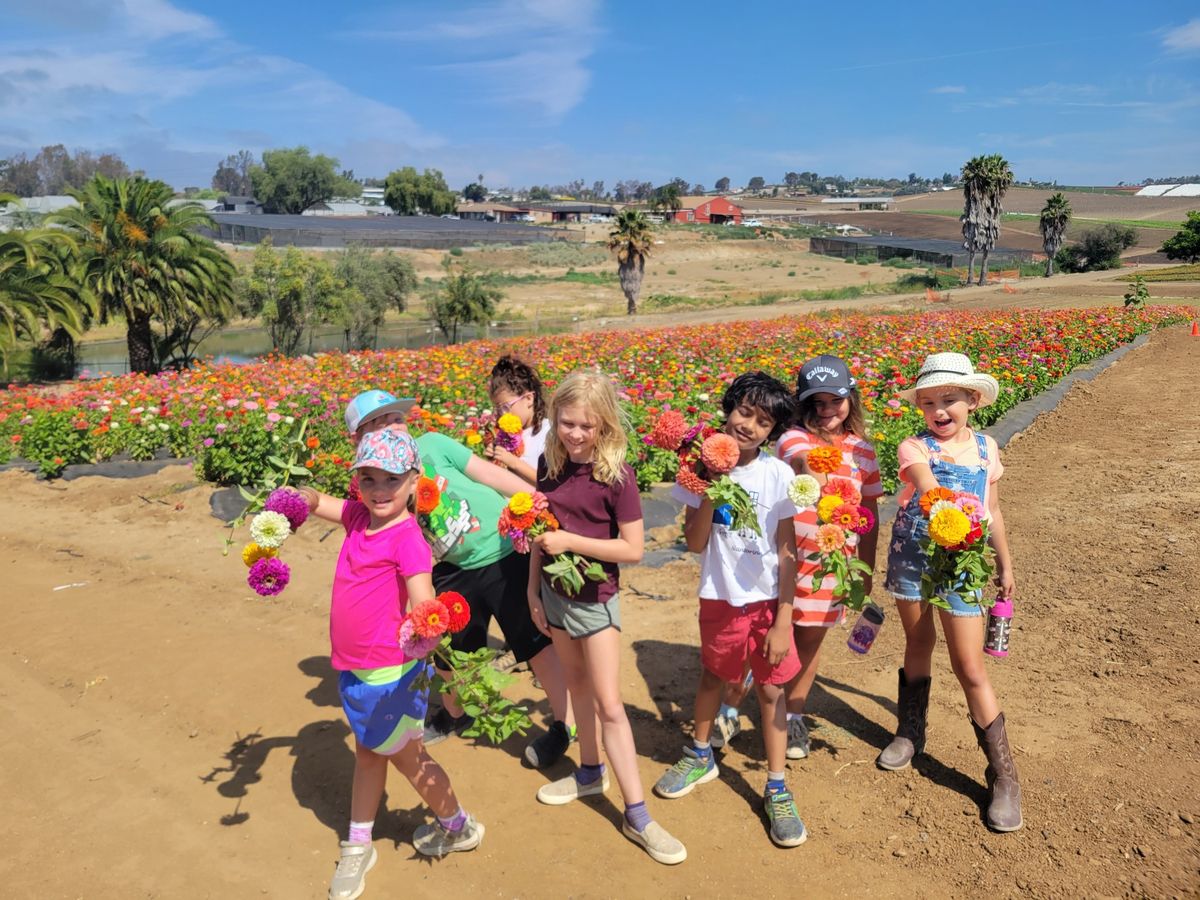 Summer Farm Camp at Mellano Farm Stand, June 16-20, (9am-3pm)