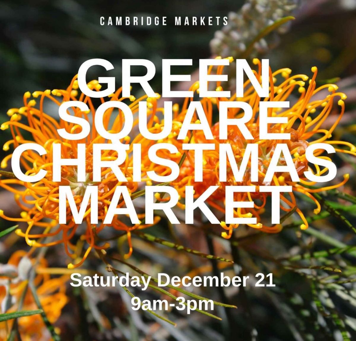 Green Square Christmas Market