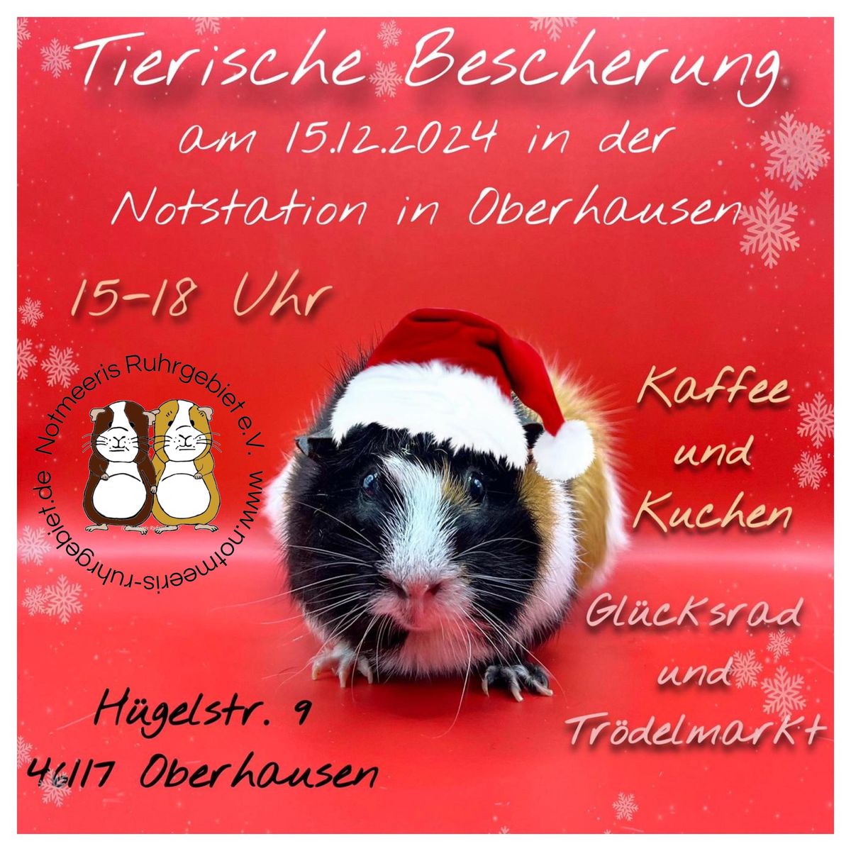 Tierische Bescherung 2024