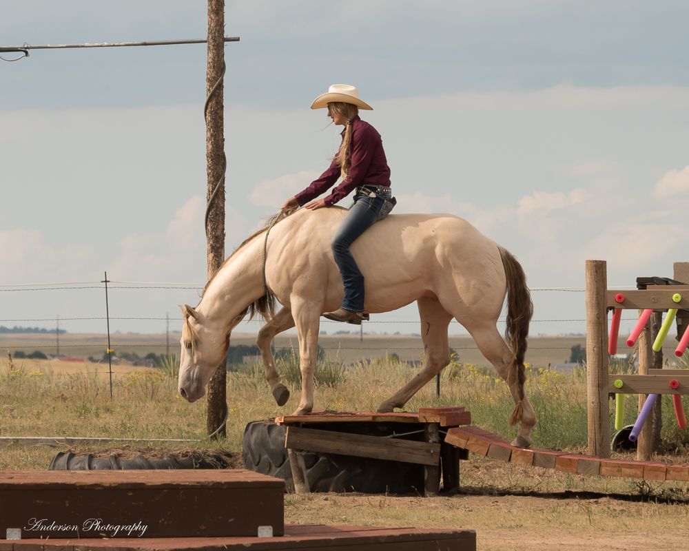 Liberty and Trick Training Clinic