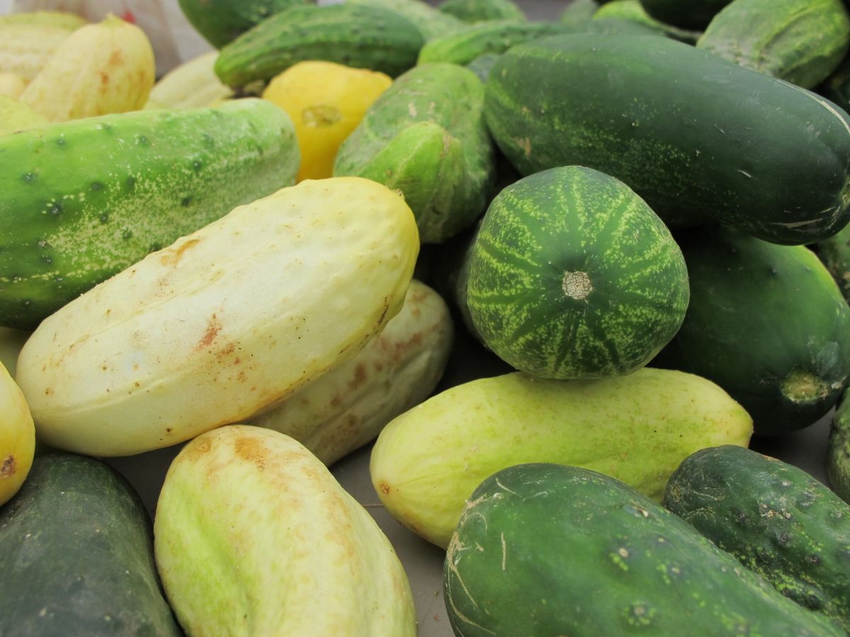 Catawba County Public Health Farmers Market